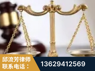 黔西南布依族-委托诉讼代理人出庭